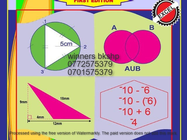 Shine standard mathematics book 5