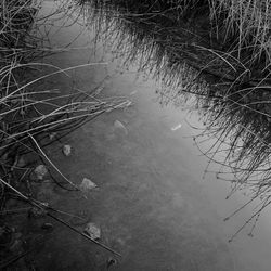 Reflectons, Napa, CA