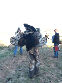 IMG_4271 - Copy_edited