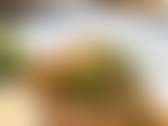 Broiled Salmon with Creamy Orange Sauce