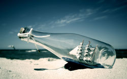 Bottle