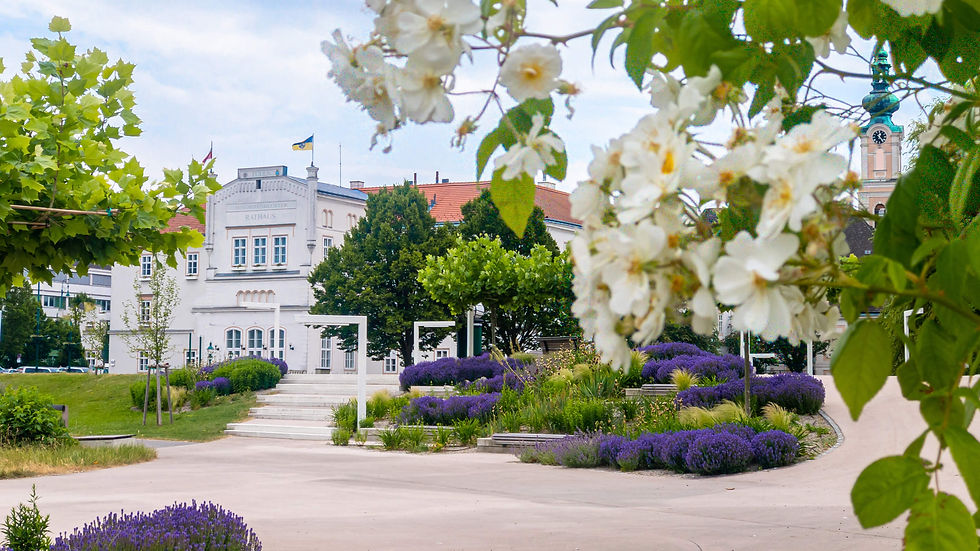 Visit historic town of Tulln