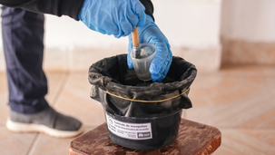 Ministério intensifica ações de controle da dengue no Rio Grande do Sul