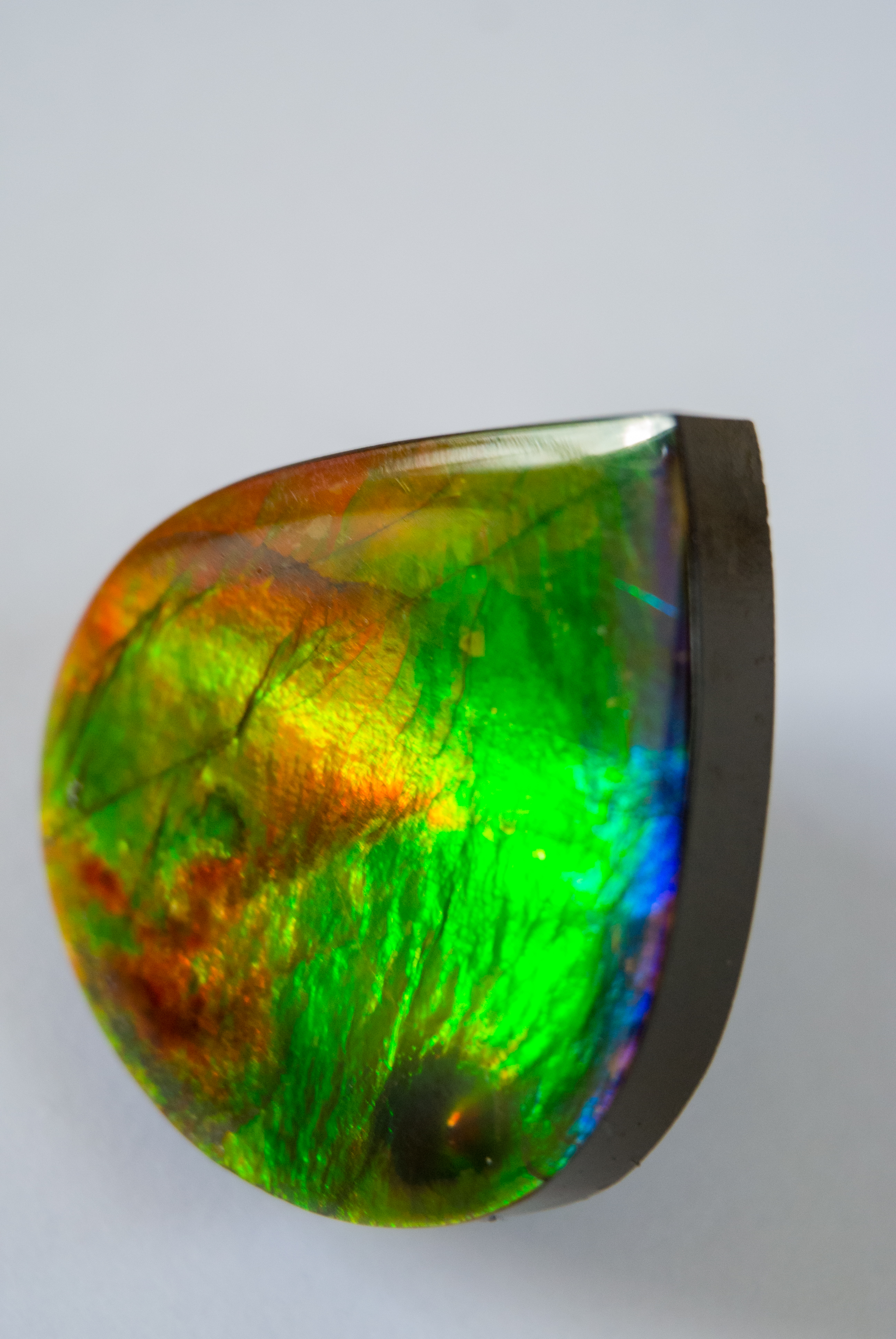 Ammolite Gemstone