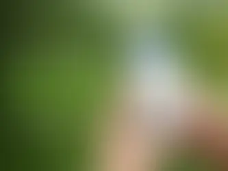 How Paperless Loans from Chinmay Help Save Mother Earth?