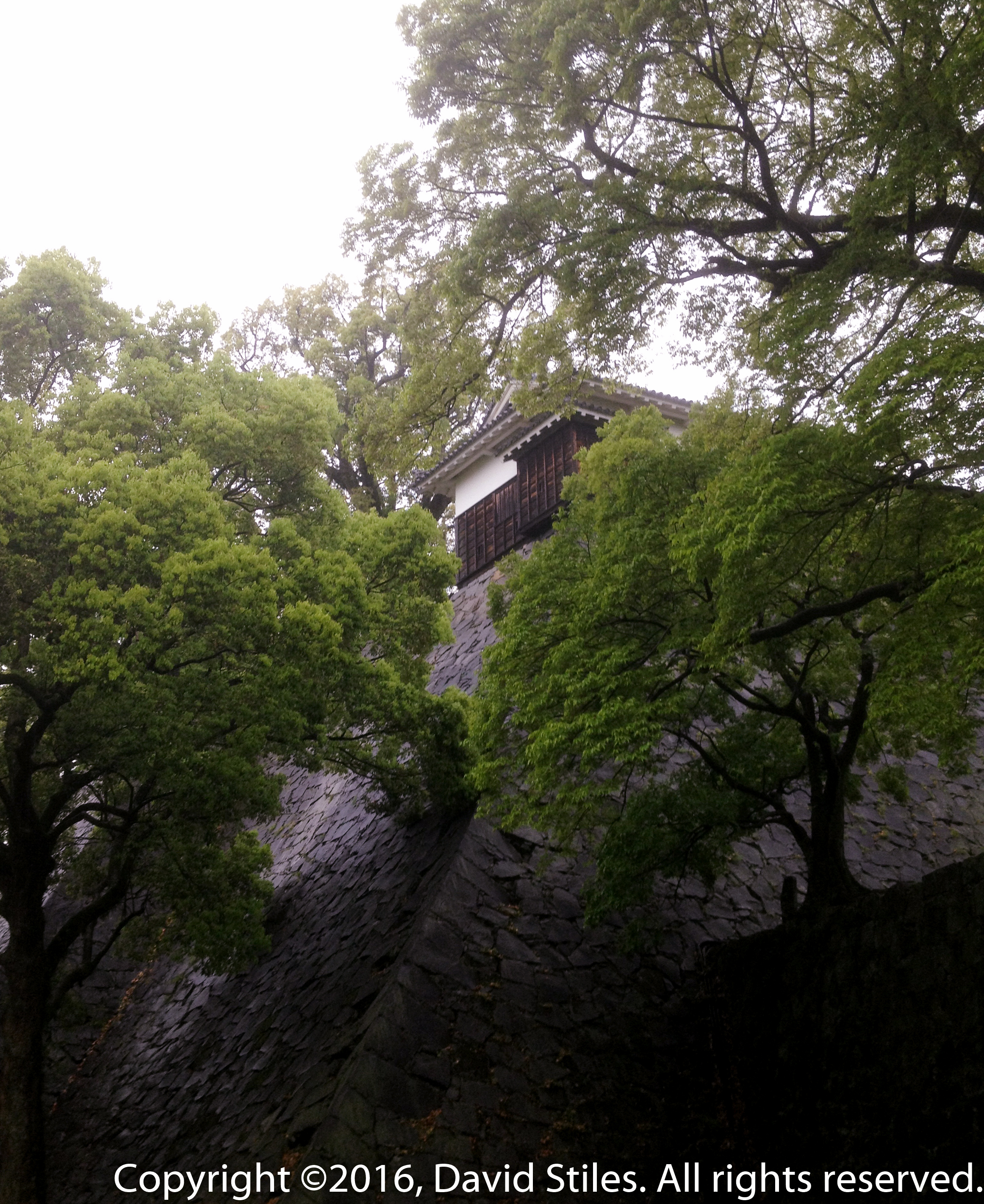 Kumamoto Castle #1