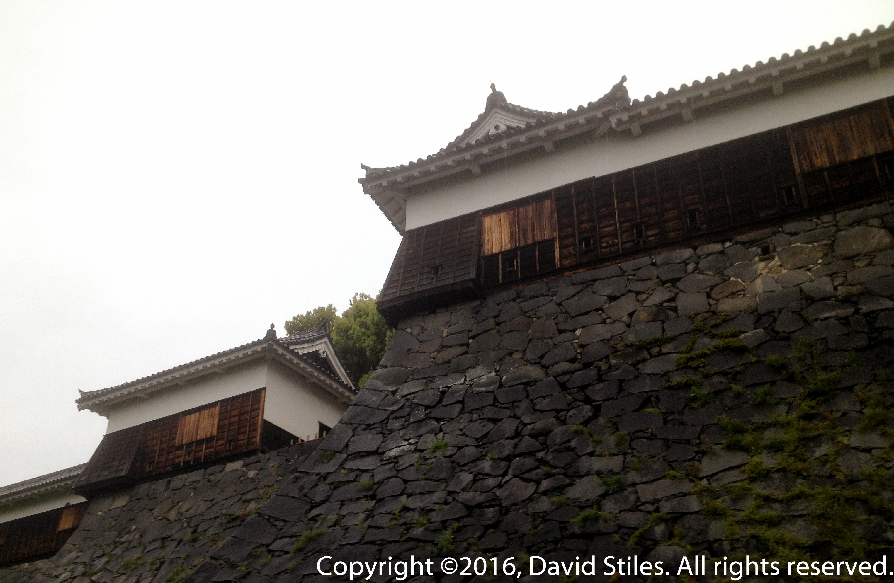 Kumamoto Castle #2