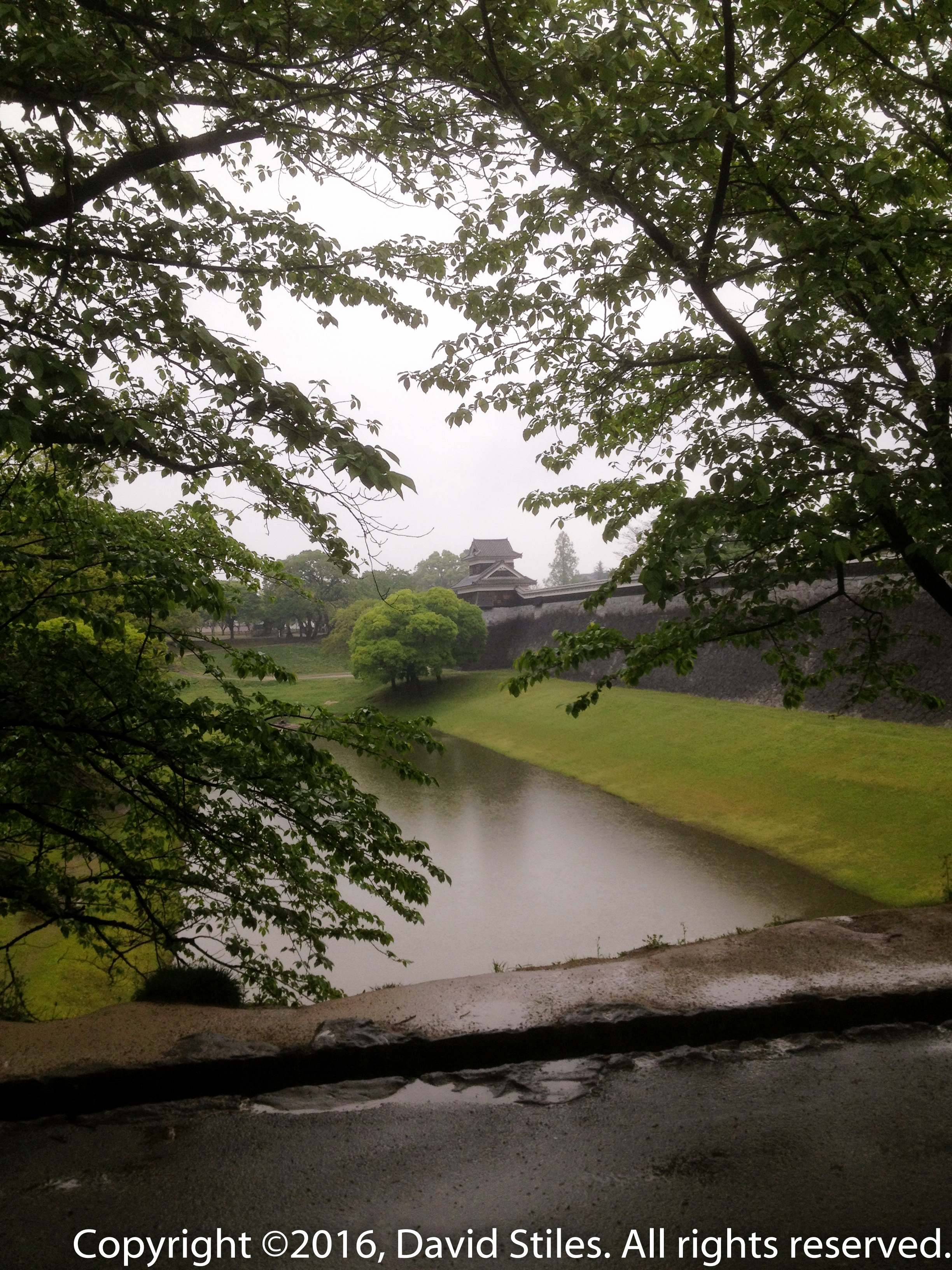 Kumamoto Castle #8