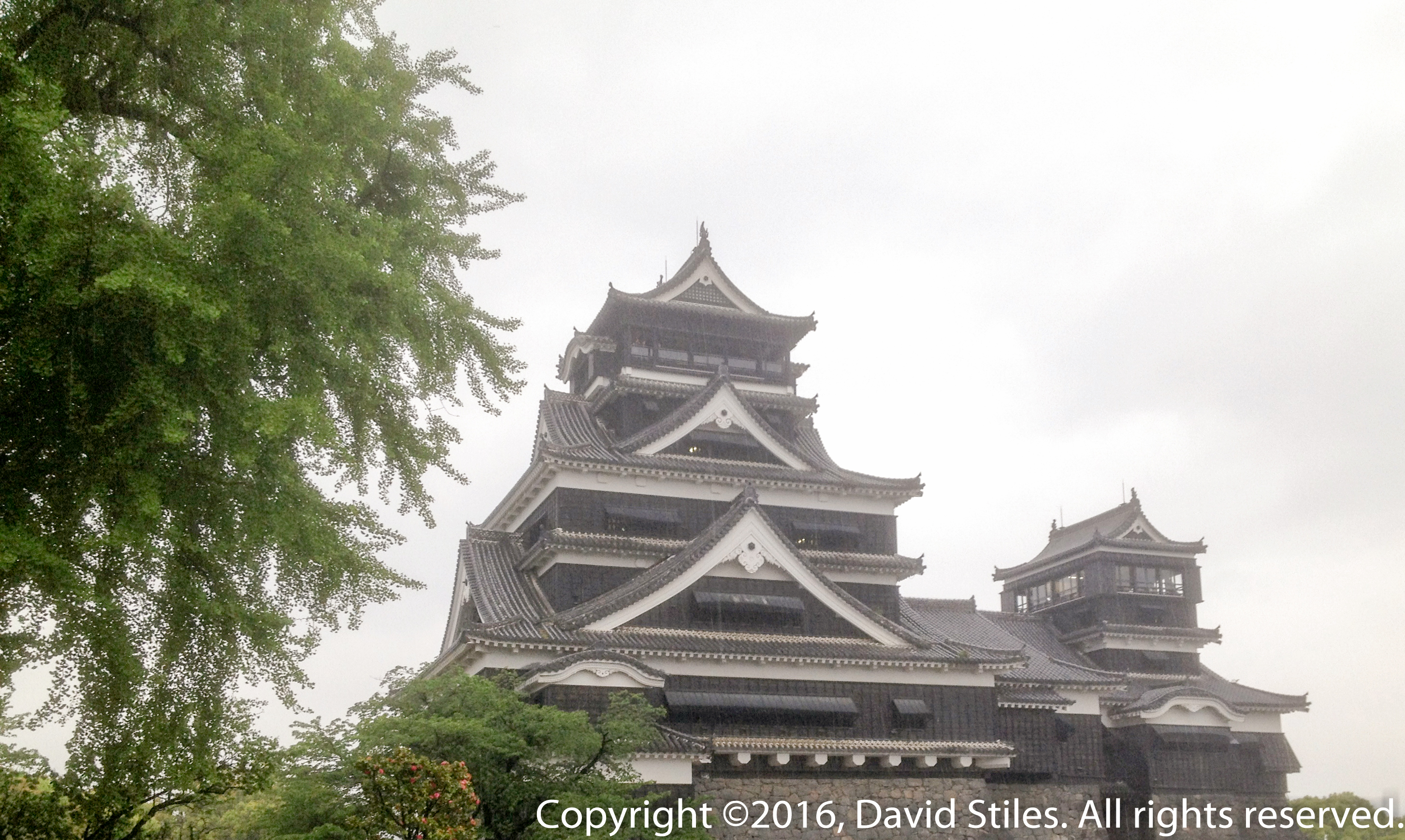 Kumamoto Castle #5