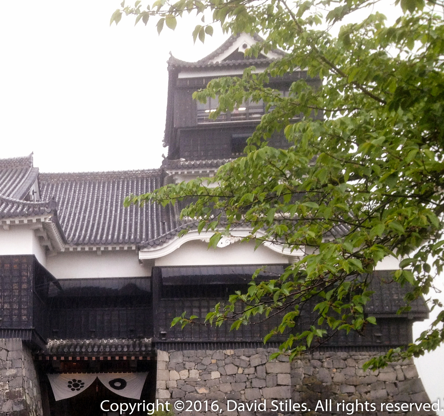 Kumamoto Castle #6