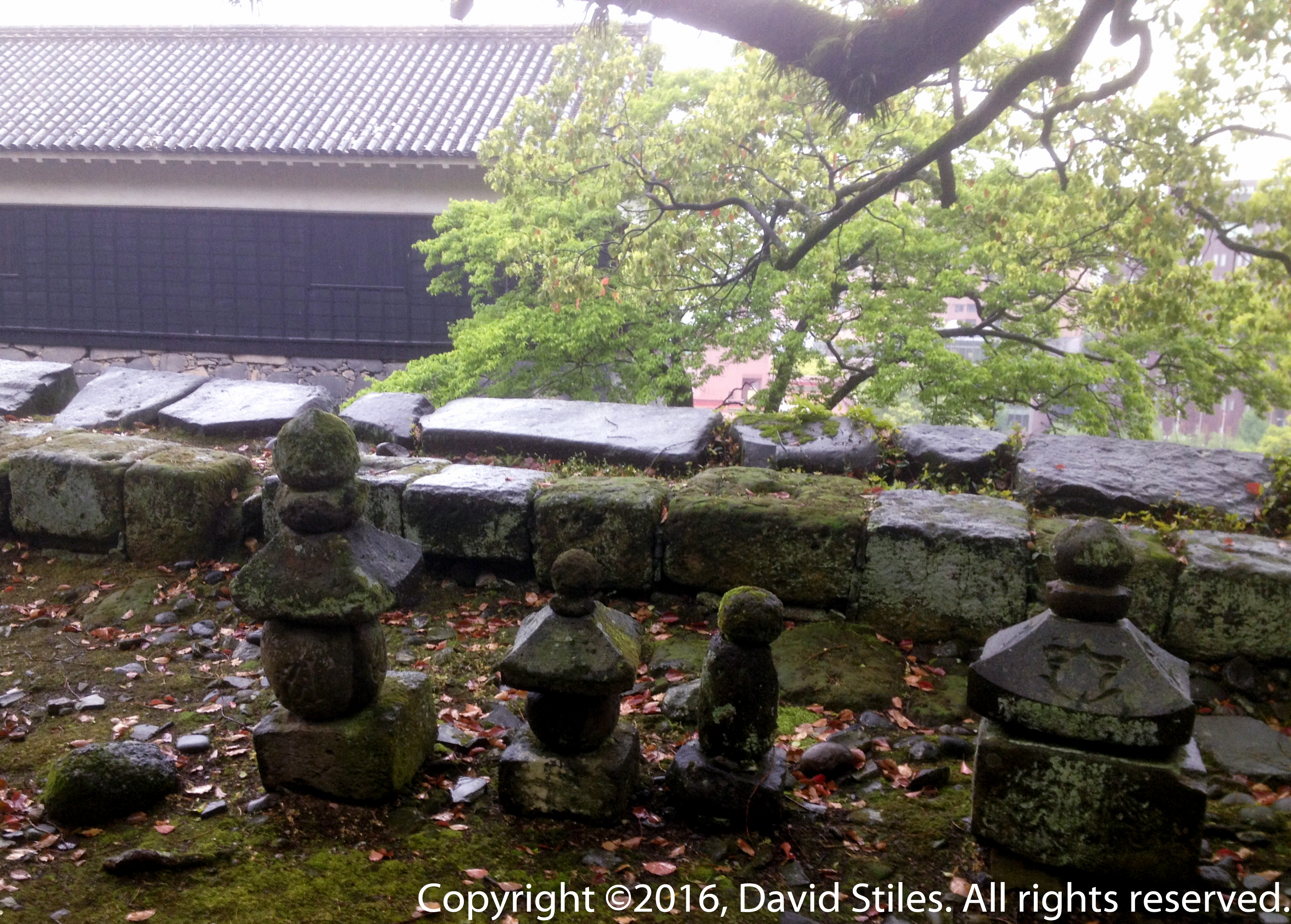 Kumamoto Castle #4