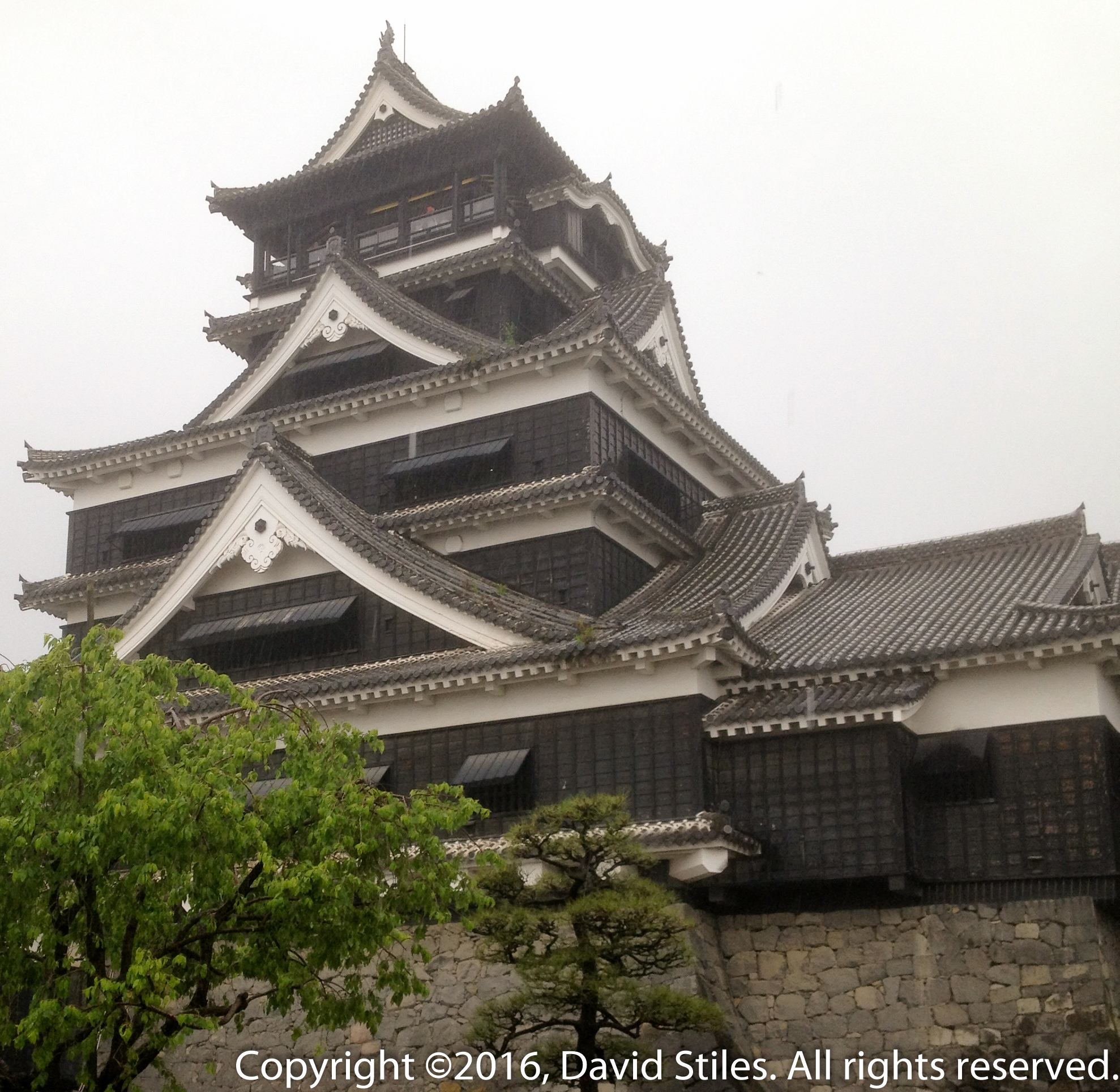 Kumamoto Castle #7