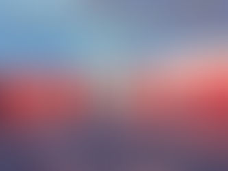 It's Our 1st Birthday! 🥳🎂