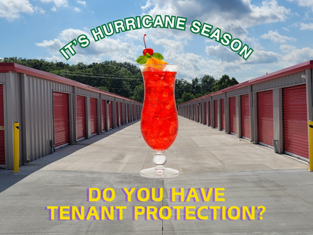 Lassiez les bon temps rouler! 🎭🐊