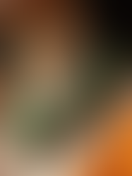 Unleash Your Style with Iguana-Themed Accessories