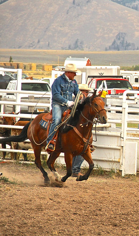 Heel Horse Sauce