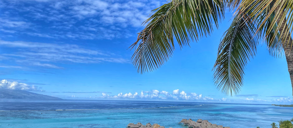 Things to do on Moorea Island