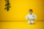 A karate kid in rest position. With the word kyokushinkai on the background. Which means_