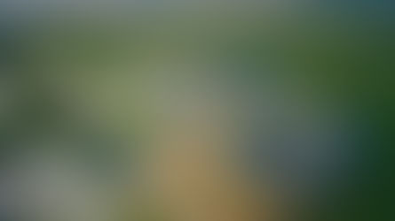 5 Ventajas de la Energía Solar