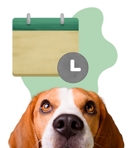 site gm pet health (10).png