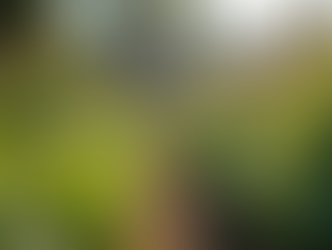 Building Community: The Key to Flourishing Together