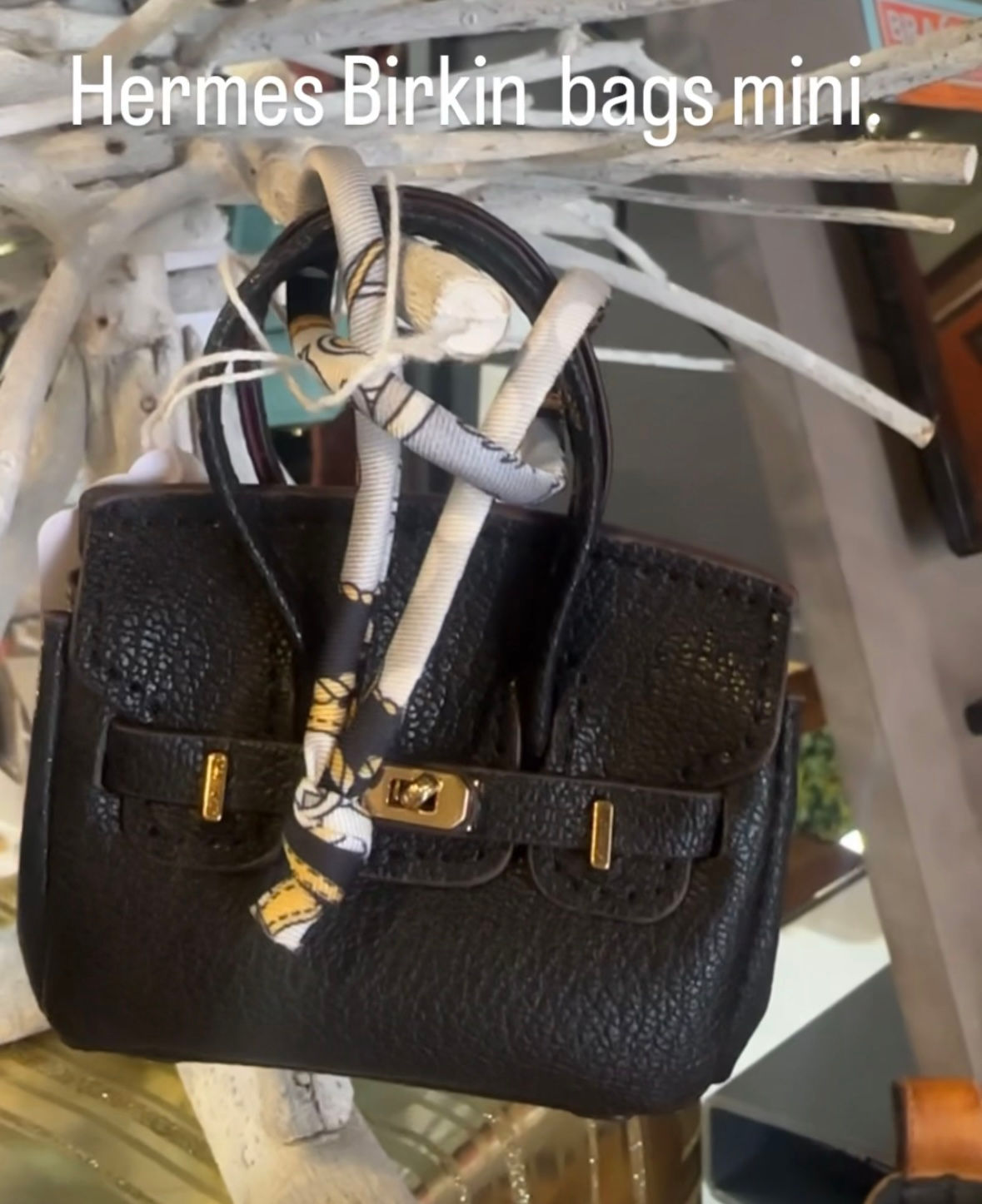 Mini Birkin functional .