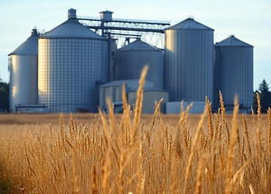Audyty obiektów zbożowych.jpg