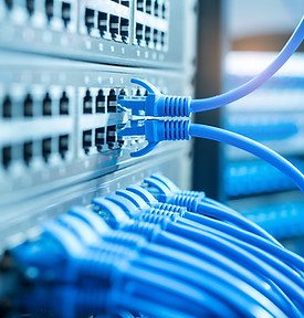 network cables connected to a switch