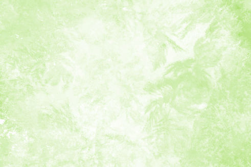 c2d20ca2-d008-49e2-b49e-a17571c6bd44.jpg