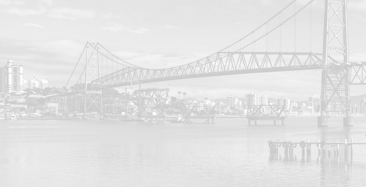 Ponte_edited.jpg