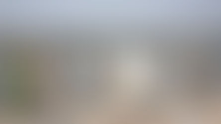 رئيس اتحاد الغرف العربية: العراق أرض الفرص الاستثمارية