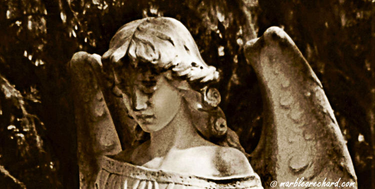 Weeping Angel