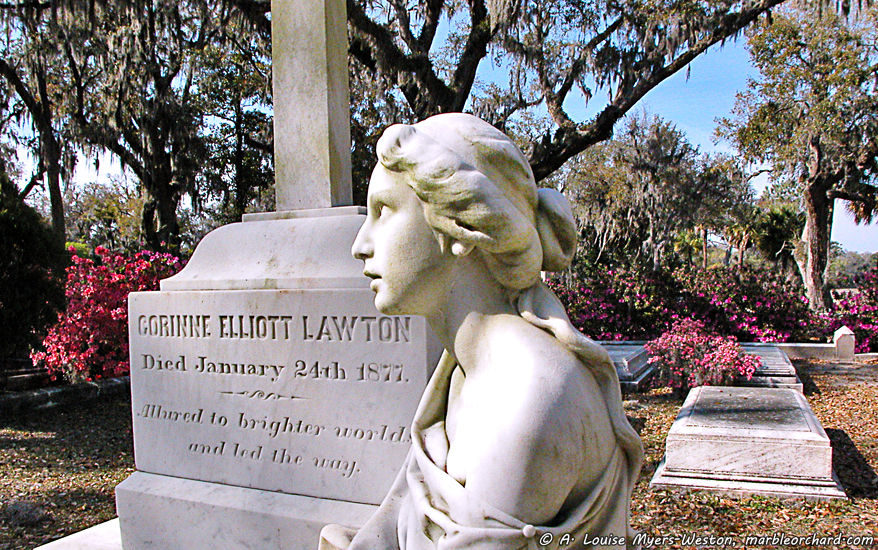 Allured to Brighter Worlds