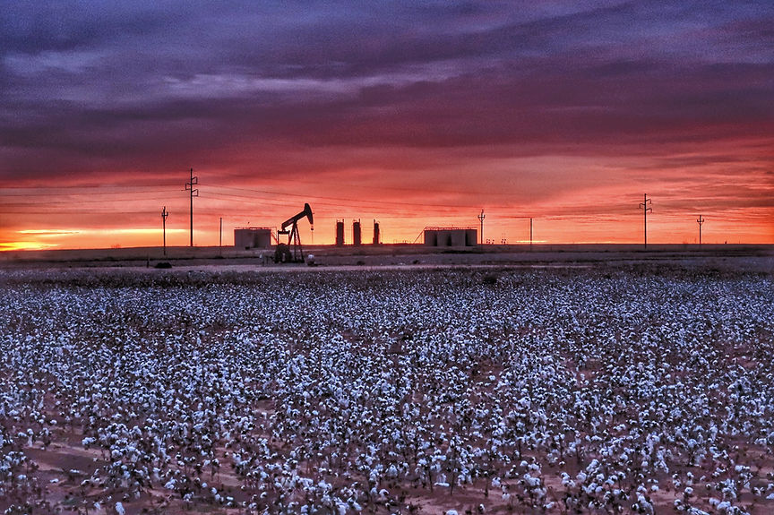 Midland Texas cotton field with pump jack at sunrise._edited.jpg