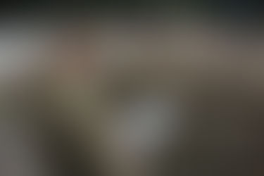 Все Про Порушення Військового Обліку І Військовий Адвокат