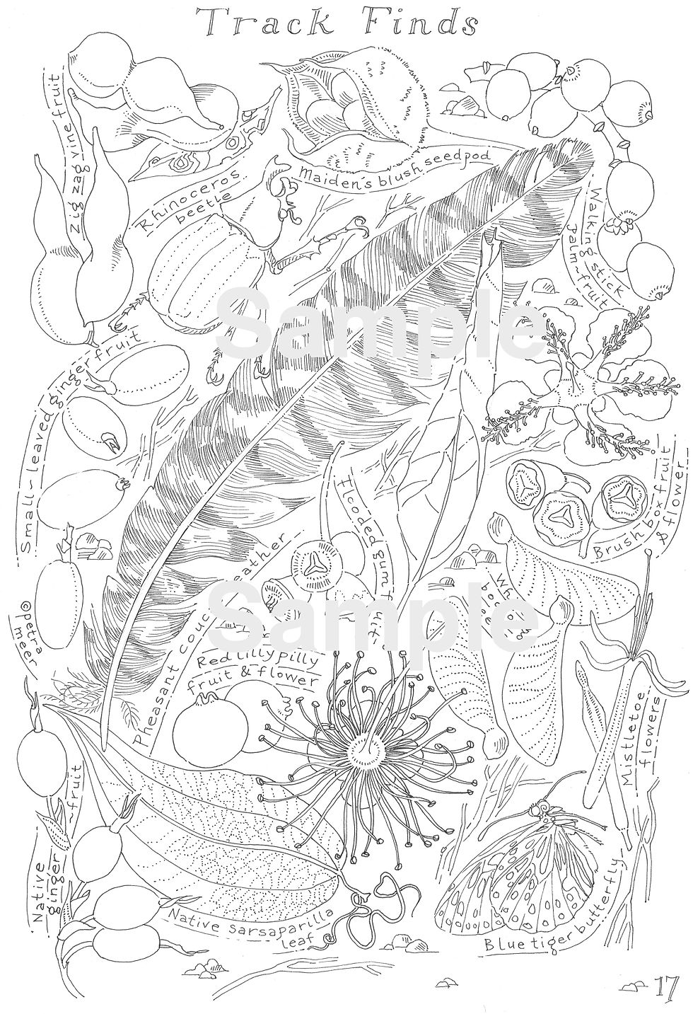 Thumbnail: 'Mary Cairncross Scenic Reserve - A Colouring Journey of Living Habitats'