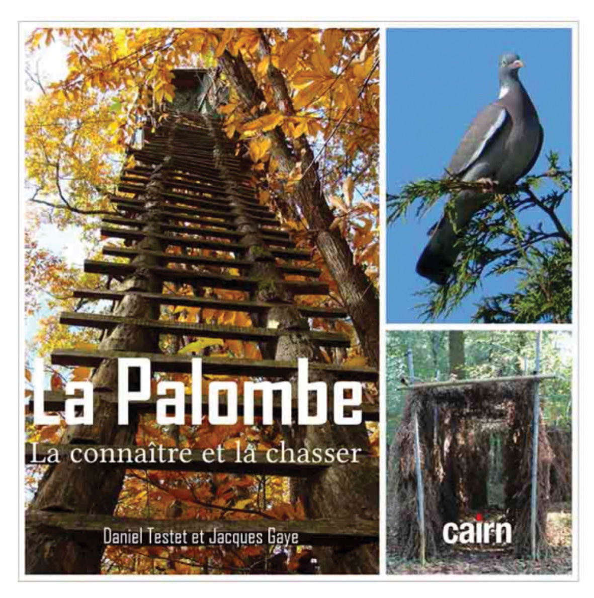 LA PALOMBE - La connaître et la chasser  (Daniel Testet et Jacques Gaye)