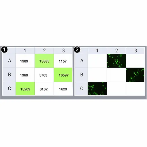 biotek cytation5