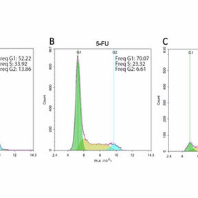 Cell Cycle Analysis_Flow Cytometry