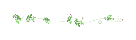 —Pngtree—spring new media divider vine_5416398.png