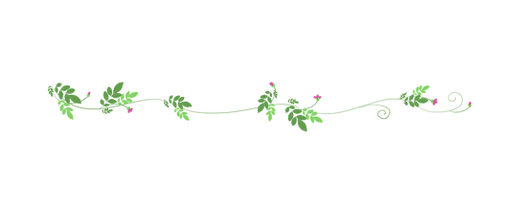 —Pngtree—spring new media divider vine_5416398.png