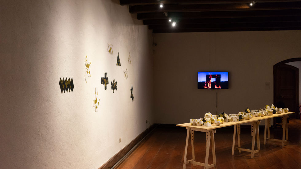 DSC06693EXPO GRUPAL SINTOMAS GEOGRAFICOS.jpg