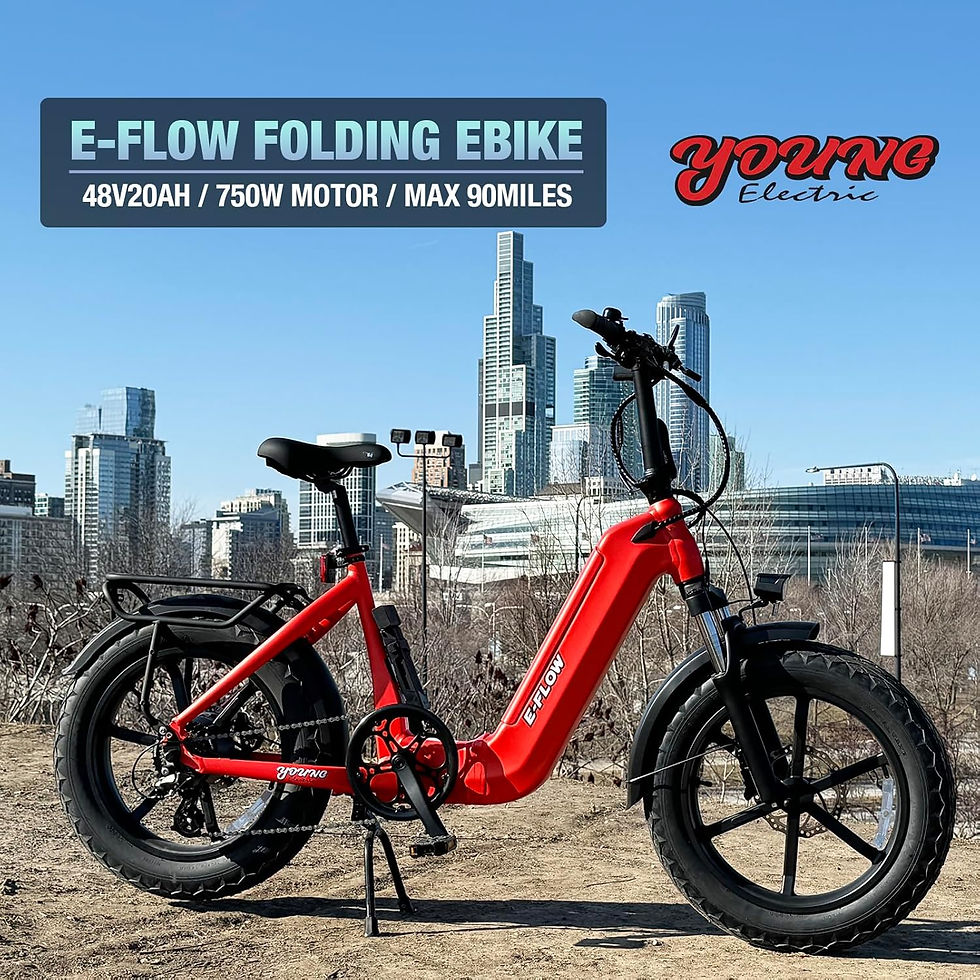 Thumbnail: E-Flow Folding 750W E-Bike