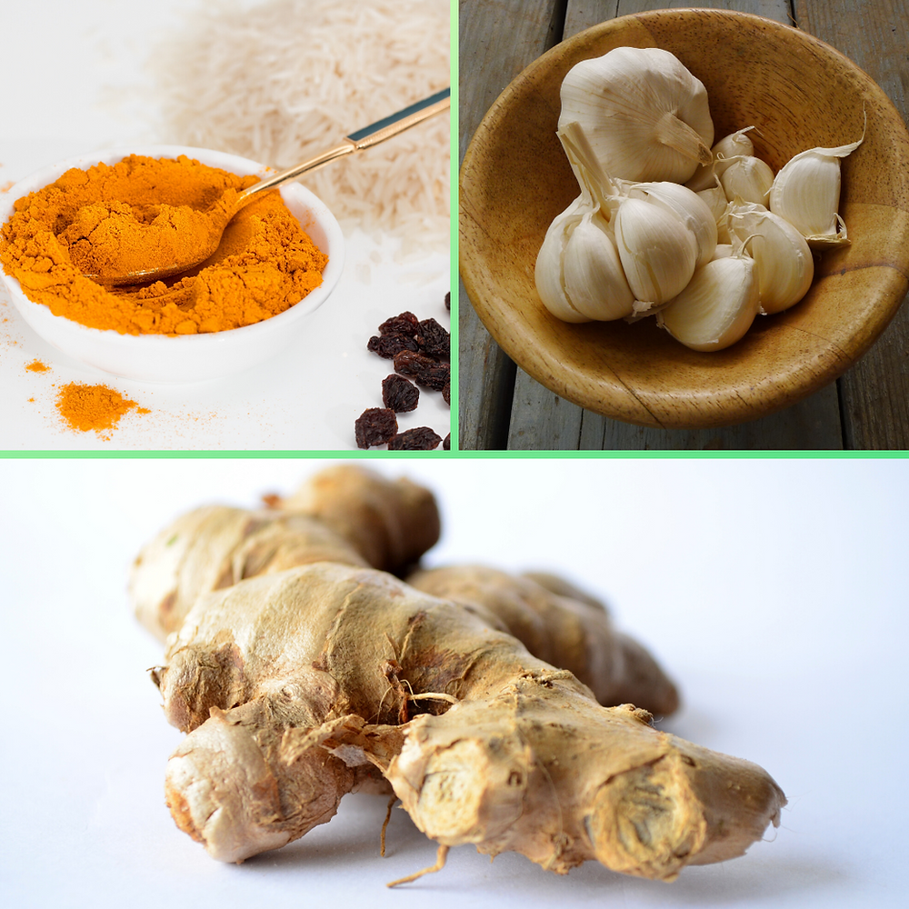 pictures of turmeric, garlic and ginger