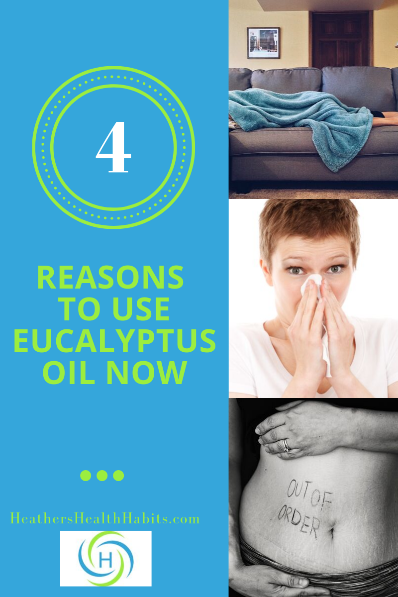 4 reasons to use eucalyptus oil right now