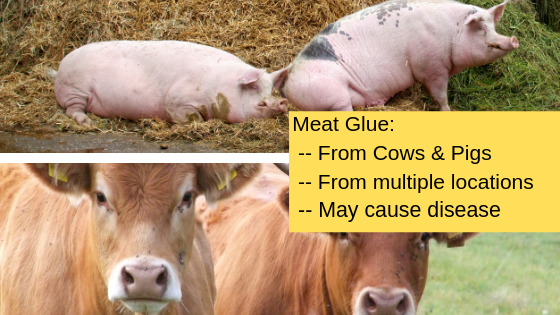 cows and pigs deliver meat glue
