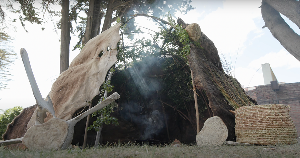 Captura de Pantalla 2024-07-11 a la(s) 23.04.29.png