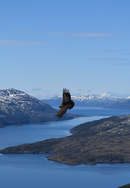 DSC_0011.JPG