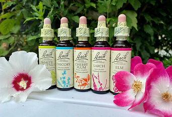 fleurs de bach ok.jpg