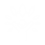 32.png